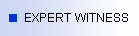 Expert Witness